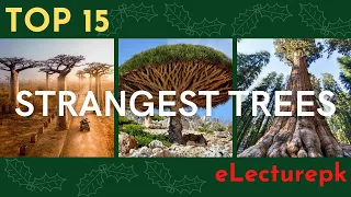 Top 15 Strangest Trees In The World  You Didn't Know Existed | eLecturepk