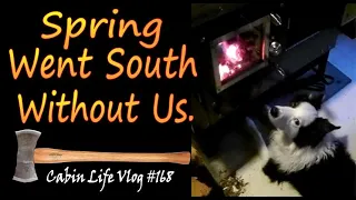 Our Off Grid Life.  Spring Went South Without Us.  A Backwoods Living Vlog.