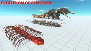 EVOLUTION OF CENTIPEDE - ANIMAL REVOLT BATTLE SIMULATOR