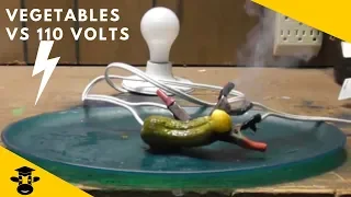 Vegetables and Fruit vs 110 Volts ( The Electric Pickle )