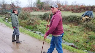 Pastoreo navideño con la mujer, menuda templa de agua