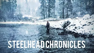 Steelhead Chronicles | Fly Fishing for Late Summer Run Steelhead | Episode #2