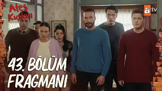 Ateş Kuşları 43.Bölüm Fragman |"Susarak kurtulamazsın gerçeği ya sen söyle ya da ben..." @atvturkiye