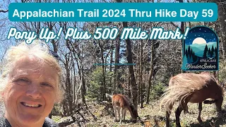 Appalachian Trail 2024 Day 59 - So Many Ponies! Plus 500 Miles Hiked!