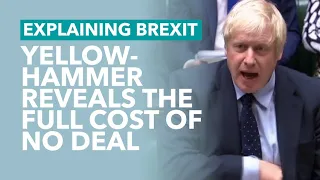 What The Yellowhammer Report Tells Us About No Deal - Brexit Explained