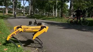 Watch this robotic dog encourage park-goers to practice social distancing in Singapore