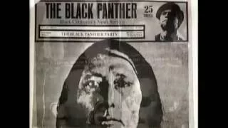 Elaine Brown, COINTELPRO, and the Black Panther Party
