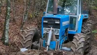 LANDINI PREDNJOM KAŠIKOM PRAVI PUT U ŠUMI