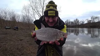 Tęsinys kimba kosminio dydžio mamkos  2