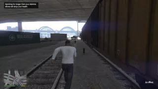 Grand Theft Auto V Cat vs Train