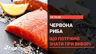 Червона риба: чим корисна і як вибрати