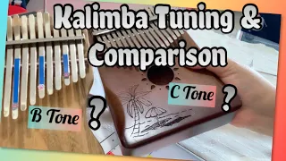 B And C Tone Kalimba Comparison