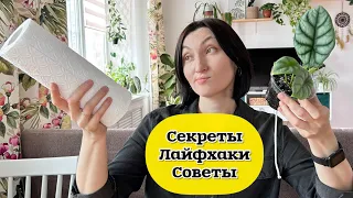 Лайфхаки, которые действительно работают! Советы и приемы для комнатного цветоводства