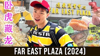 Is FAR EAST PLAZA STILL WORTH GOING? Leather craftsman with ikigai | Filmlike Jap Restaurant 远东值得去吗？