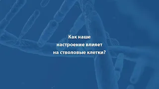 Как наше настроение влияет на стволовые клетки?