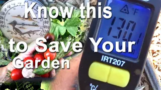 Garden Heat Wave Tips to Protect Vegetable Plants-Avoid Simple Gardening Mistakes During HOT Weather