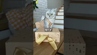 Смешные коты - Майя 😼 #смешныекоты #кошка #кот