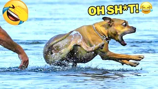 You Laugh You Lose with Dogs & Cats for 1 Hour😂Hilarious Animals 2024