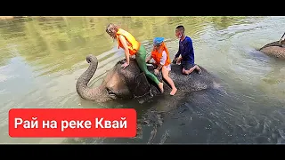 Купание со слонами|Экскурсия на реку Квай|Таиланд.