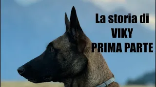 La storia di VIKY, il mio primo cane ❤️