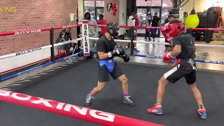 16 year old King Robert Meriwether lll sparring pro boxer