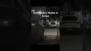 Tesla Sentry Modus in Action | Tesla Wächtermodus