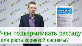 Чем подкармливать рассаду для роста (Развиваем корневую систему) | Agrolife.ua рекомендует