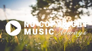 The Wrong Time by Silent Partner [No Copyright Music]