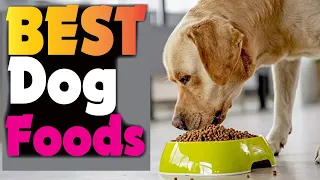 Top 5 BEST Dog Foods of 2023