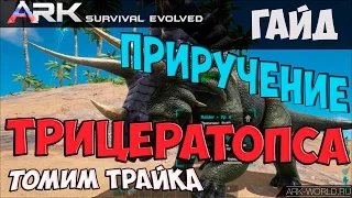 Приручение Трицератопса (Трайка) | Triceratops (Trike) ARK:Survival Evolved