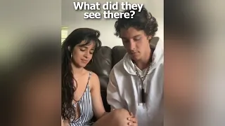 This is What Shawn Mendes and Camila Cabello Do in Your Spare Time!