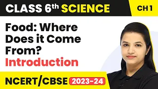 Class 6 Science Chapter 1 | Food: Where Does it Come From? - Introduction