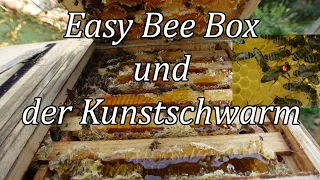 Easy Bee Box und der Kunst Schwarm was würdet ihr Imker tun Bienen halten mal anders