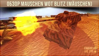 ОБЗОР Mauschen WOT BLITZ ПО ПЕРВОМУ ВПЕЧАТЛЕНИЮ. (Mäuschen)