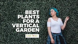 Best Plants for a Vertical Garden | Living Wall Plants | Leaf Town