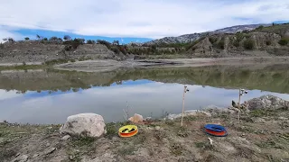 Sudak Levrek Avında Gümüş Balığına Gelen Trofe SAZANLAR.Balık Avı Sazan Avı..