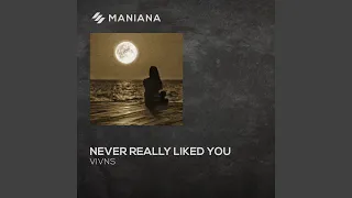 Never Really Liked You (Extended Mix)