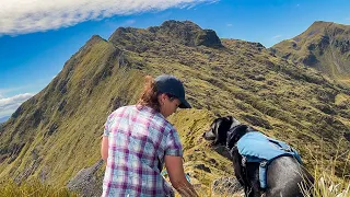 Camping at the Top of a Mountain with my Dog - a challenging adventure in the New Zealand Alps