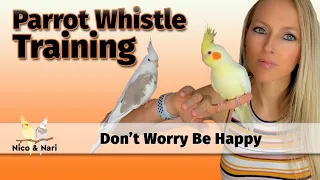Don't Worry Be Happy - Parrot Whistle Training