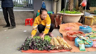Harvest Wild Tree Cores, Jungle Vegetable Goes to the market sell | Ly Thi Tam
