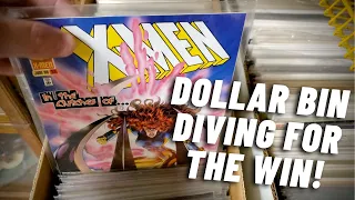 Dollar Bin Diving Will Pay For Your Next Big Book!