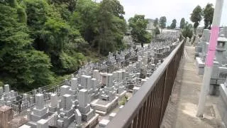 Cemetery in Japan