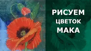 🌺 Как нарисовать цветок мака маслом. Мак с бутоном