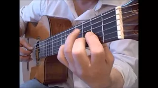 She Loves You - Beatles fingerstyle guitar solo - link to TAB in description