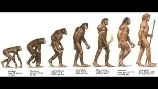 Documental sobre la evolución del Homo Sapiens