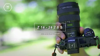 Nikon Z 14-24 2.8 S Wide Arrived | First Look, First Impressions - In The Park | Matt Irwin