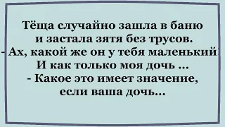 Тёща случайно зашла в баню и застала Зятя без....   Сборник весёлых Анекдотов.