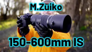 OM System M.Zuiko 150-600mm IS ED, the LONGEST M43 lens, and it's GREAT! - RED35 Review