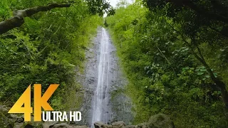 Gorgeous Waterfalls in 4K 60fps (2160p) - Soothing Nature Video for Relaxation-Oahu Waterfalls 5 HRS