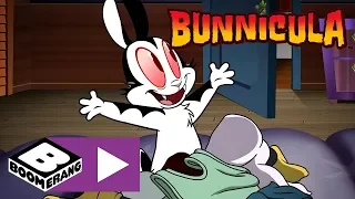 Bunnicula | Witch Wants Bunnicula | Boomerang UK 🇬🇧